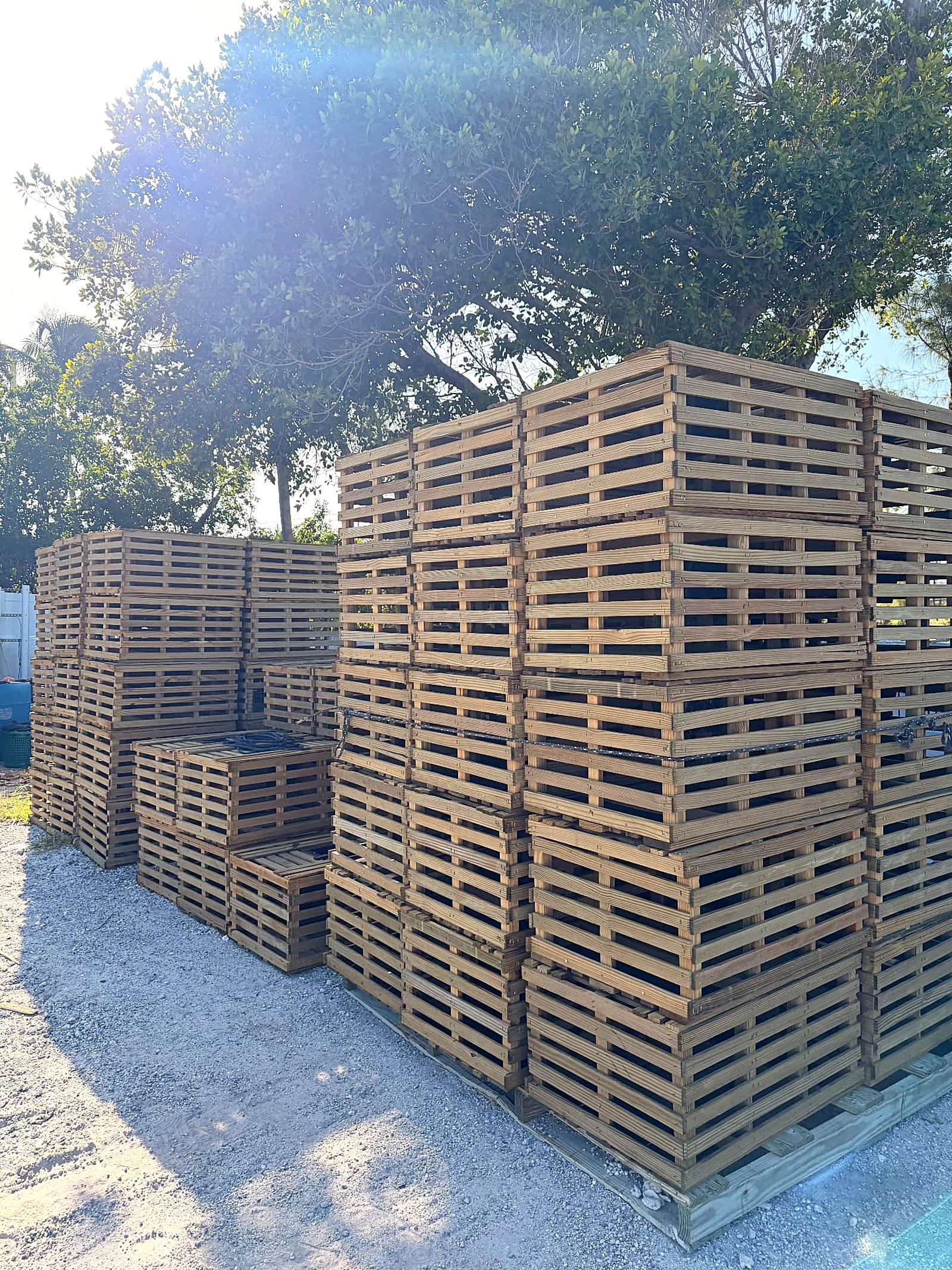 Working commercial marina in the Florida Keys with fishing vessels and lobster traps