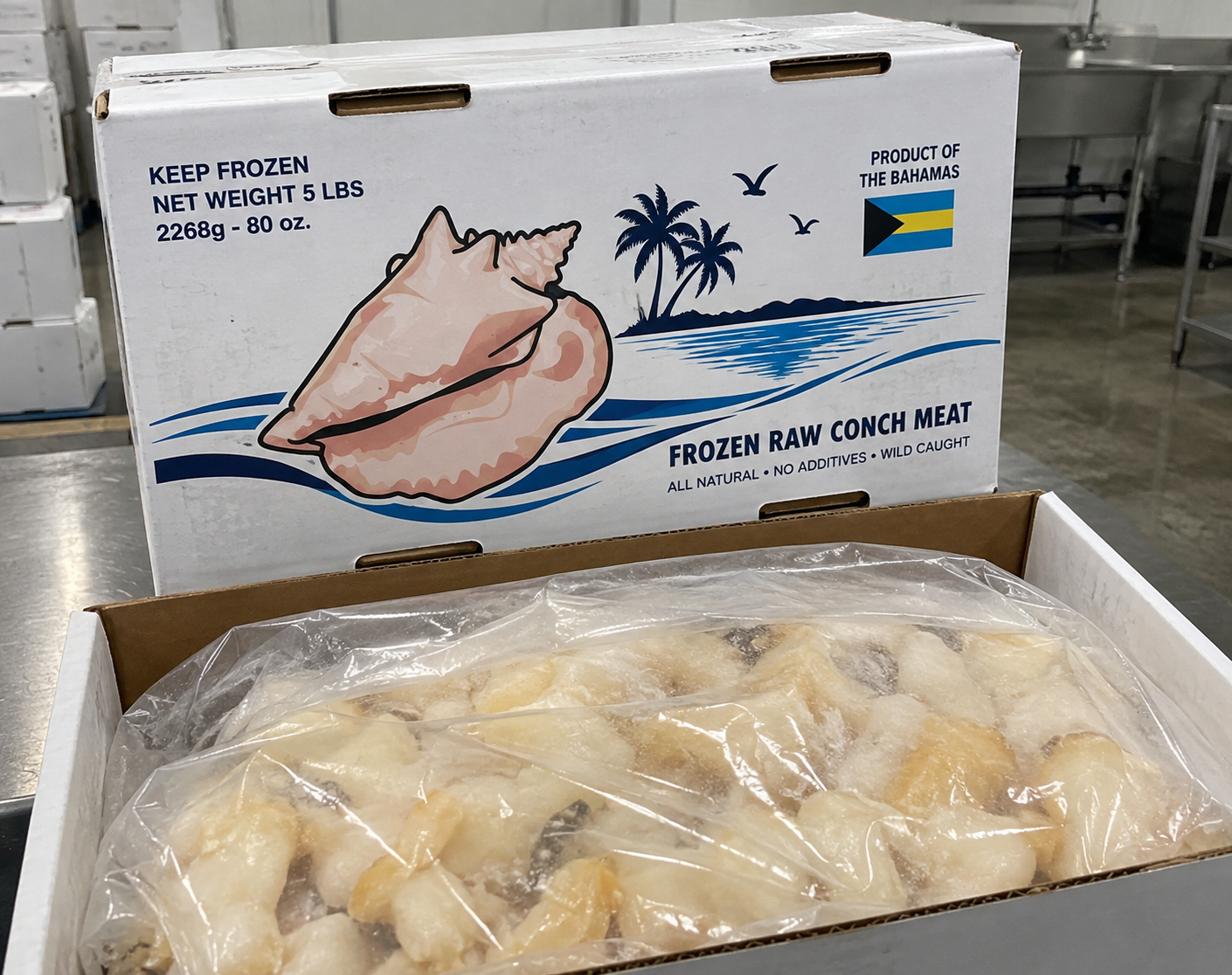 Conch Meat
