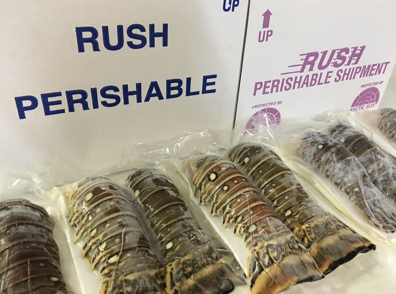 Frozen Spiny Lobster Tails