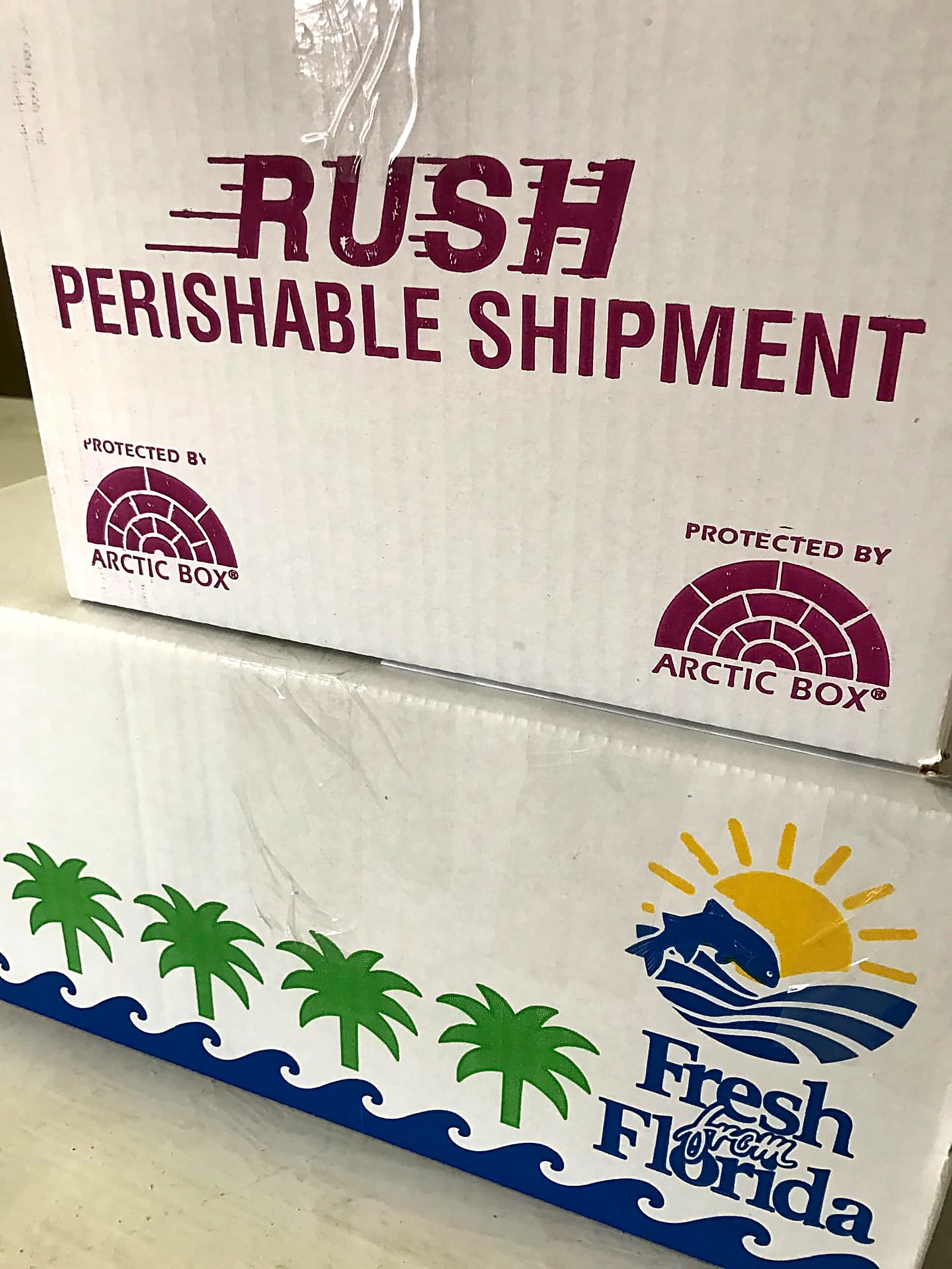 Fresh From Florida and Arctic Box perishable shipment cartons prepared for export by MSC Trading