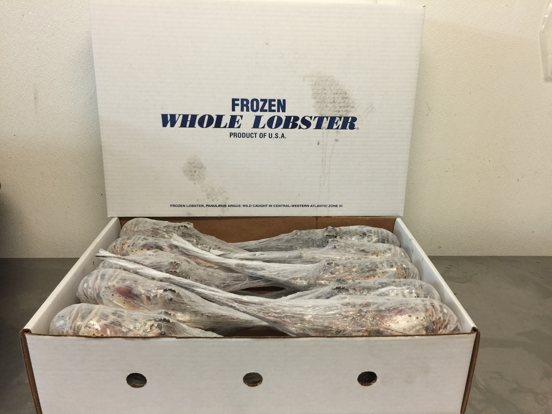 Frozen Whole Spiny Lobster