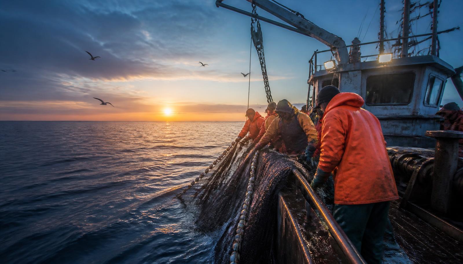 Commercial fishing vessel hauling nets at sea