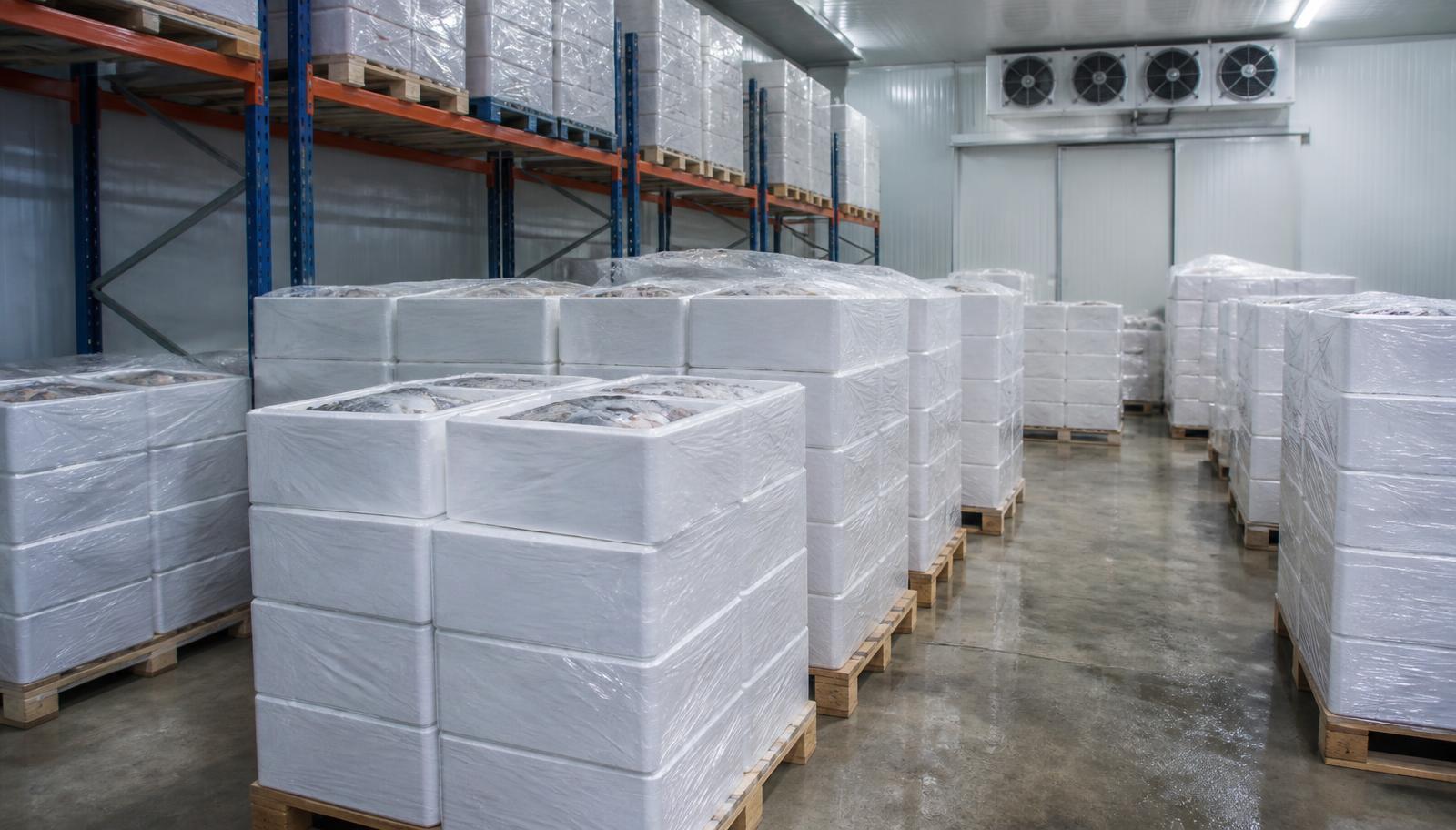 Pallets of insulated seafood export cartons in a cold storage warehouse